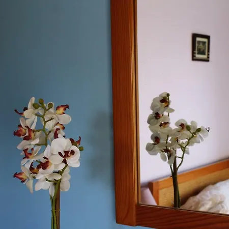 Quintinha Da Avo - Viseu, Mountain Farm House * Viseu