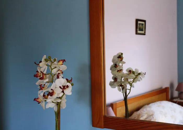 Quintinha Da Avo - Viseu, Mountain Farm House * Viseu